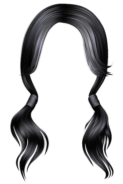 Vektor trendy frauenhaare brünett schwarz colour.two pigtails.