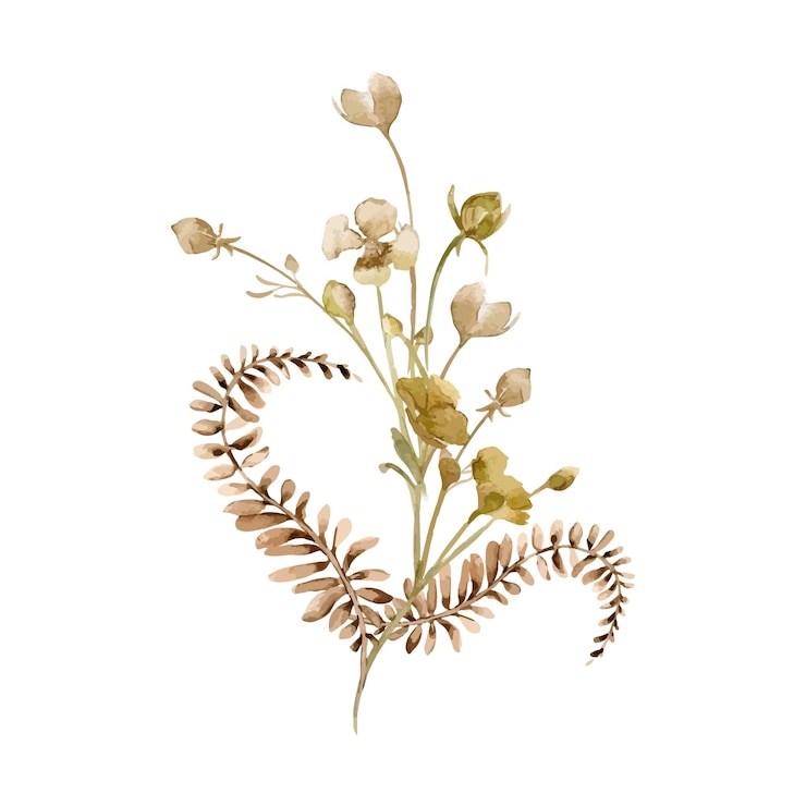 Vektor trockene blumen farne monochrome anordnung in aquarell beige farbe abstrakte blumen in sienna farbe isoliert fantasie wildpflanzen knospen handgezeichnet design von marken gedruckten produkten wandkunst