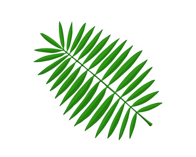 Tropische blätter des palmenzweigs handgezeichnete illustration