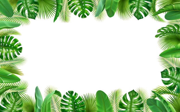 Tropische Blätter Rahmen Hintergrund Grenze grünes Blatt
