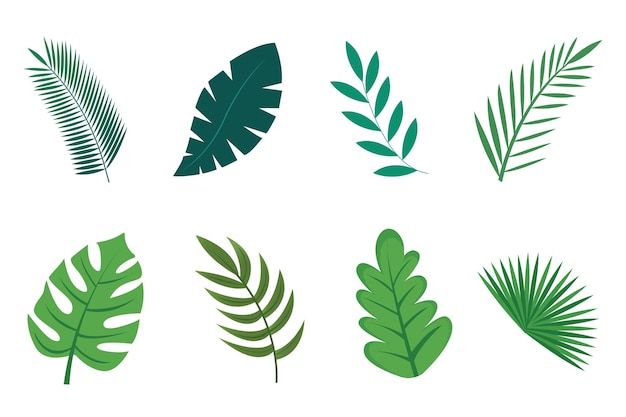 Tropische Blattelementsammlungen in flachen Illustrationen einfaches und elegantes Vektordesign