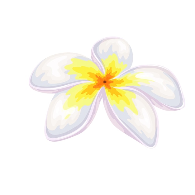 Vektor tropische blume des plumeria-sommers