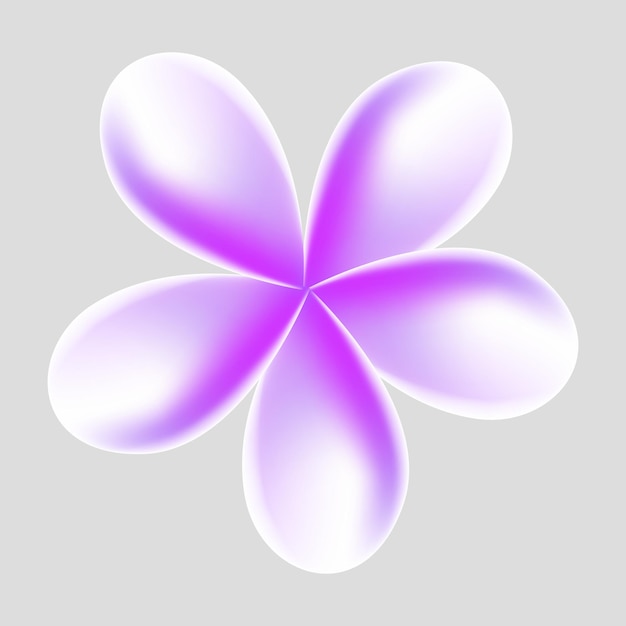 Tropische Blumen von Vector plumeria auf weißem Hintergrund