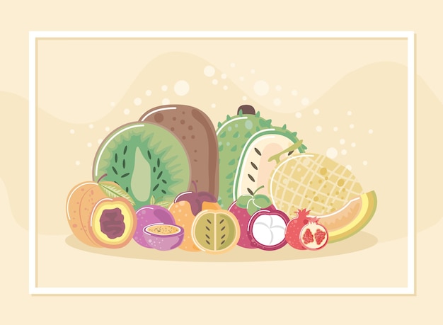 Tropische exotische frische Früchte wie Kiwi-Pfirsich-Melonen-Illustration