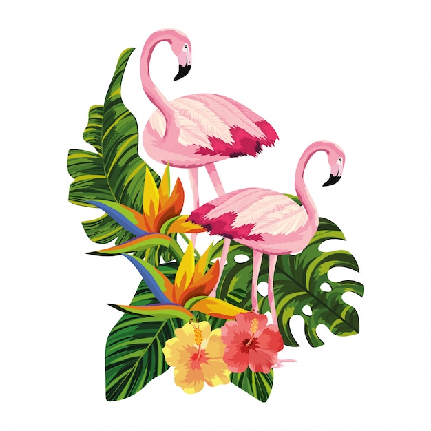 Tropische flamingokarikatur