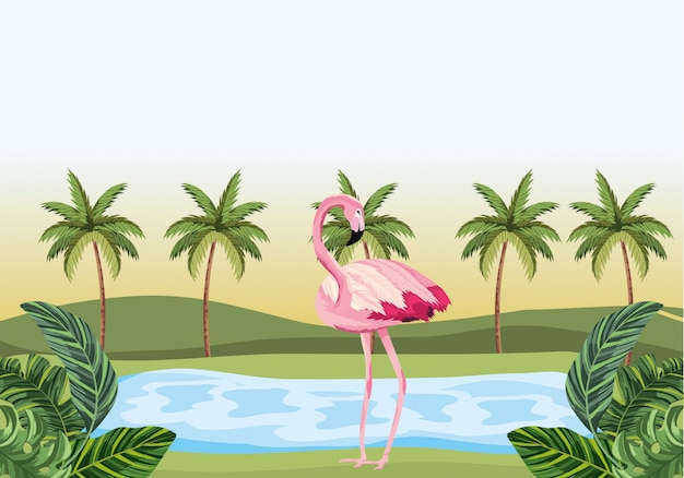 Tropische flamingokarikatur