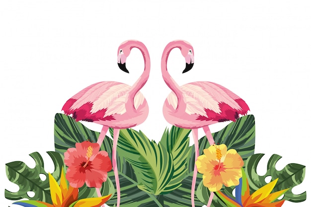 Tropische Flamingokarikatur