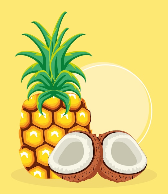 Tropische früchte ananas kokos frisch