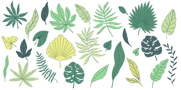 Tropische grüne Blätter, Monstera-Palmen, Farne, Efeu in verschiedenen Formen und Größen, einfacher flacher Stil