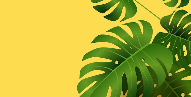 Tropische grüne Monstera-Blätter auf gelbem Hintergrund Natur botanisches Laub Sommerdesign