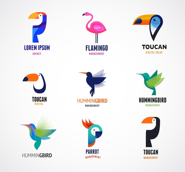 Tropische Vögel Set von Logos