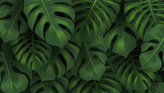 Tropischer Dschungel Monstera verlässt Muster
