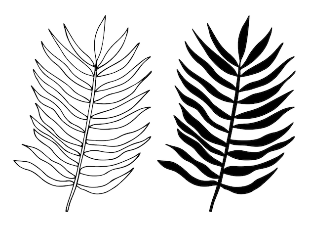 Tropischer palmenurlaub im skizzenstil, isolierte vektorillustration. blätter der palme in linearer dot