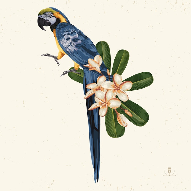 Tropischer Sommer-ClipArt. Sommeremblem nützlich für Hintergrunddesign.