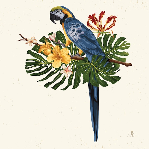 Tropischer Sommer-ClipArt. Sommeremblem nützlich für Hintergrunddesign.