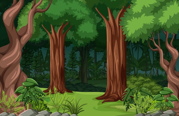 Tropischer Waldlandschaftshintergrund
