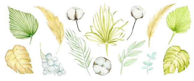 Tropisches Aquarell-Set mit trockenen Palmblättern und Pampasgrasillustration