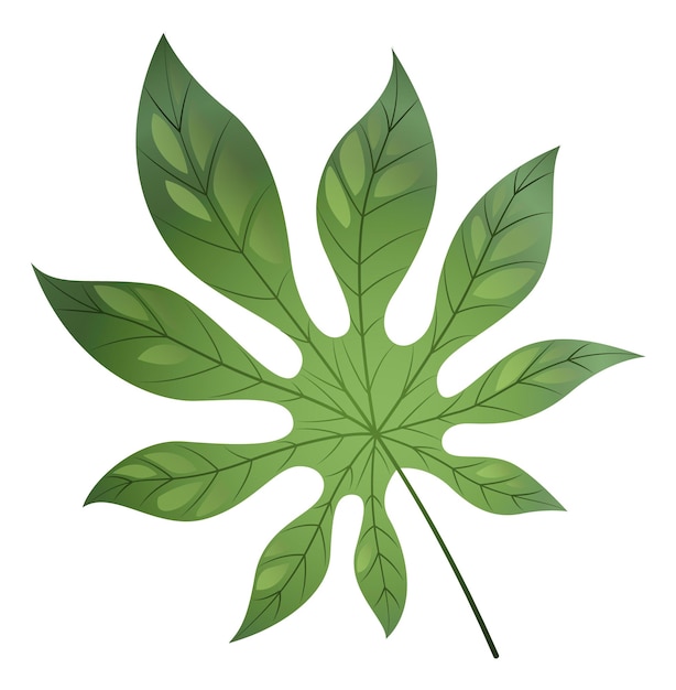 Tropisches baumblatt grünes papaya-pflanzenlaub