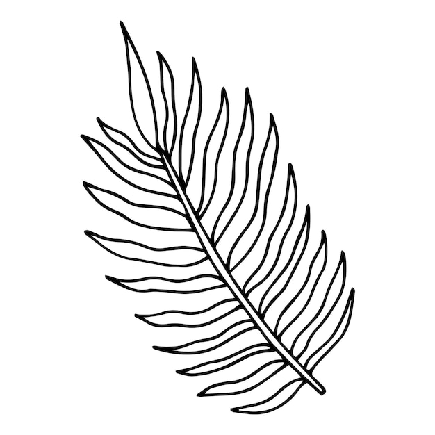 Tropisches Blatt auf weißem Hintergrund für Ihr Design. Isolierte Vektorelemente