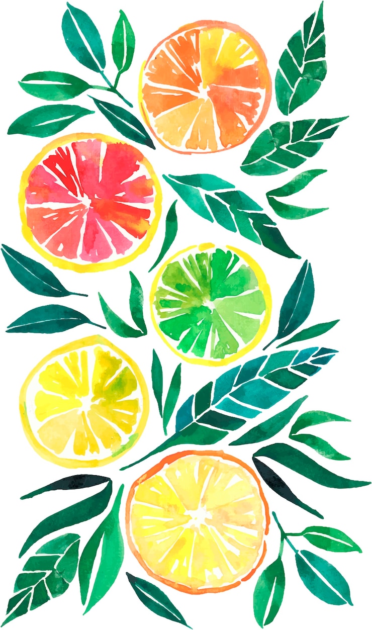 Vektor tropisches citrusorange zitronenpampelmusenaquarell