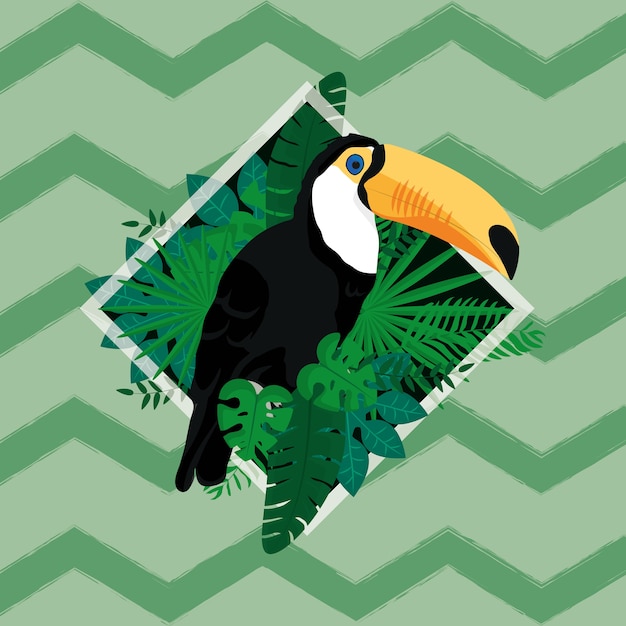 Tucan exotischer vogel