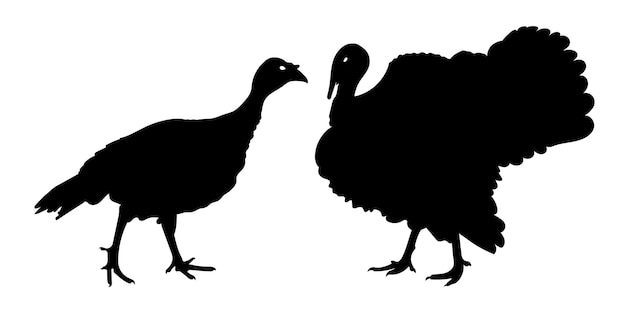 Türkei truthahn truthahnfresser stehen verschiedene packung vogel silhouetten isoliert vektor