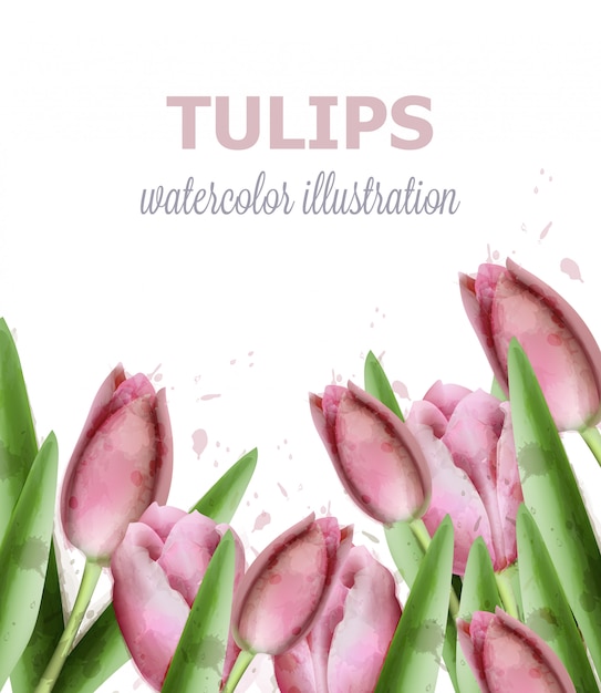 Tulpe blüht Aquarell