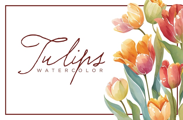 Tulpen Blume Aquarell malen Vektor