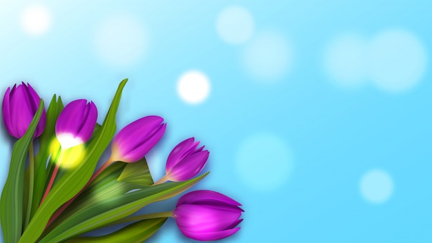 Tulpenstrauß zum Frühlingsbanner.