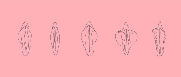 Vektor typ des weiblichen schamlippenvektors. strichzeichnung illustrator eine vagina.