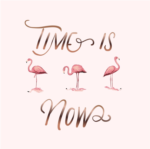 Typografie slogan mit flamingos illustration