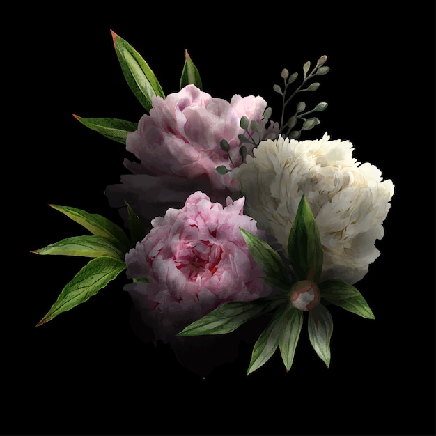Üppiger Blumenstrauß in zurückhaltendem, schwarzem Hintergrund, rosa und weißen Pfingstrosen und Blättern, handgezeichnete wtercolor Illustration.