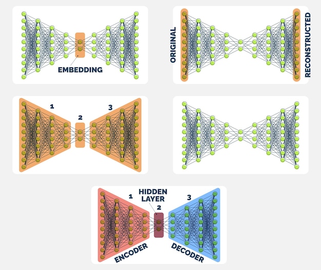 Umfassender Autoencoder Neural Network Guide Encoding to Decoding Visuals Set von fünf Illustrationen