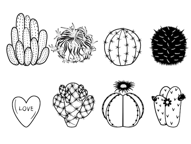 Vektor umreißt kakteen und sukkulenten im doodle-stil. handgezeichneter kaktus-schwarz-weiß-kunstsatz.