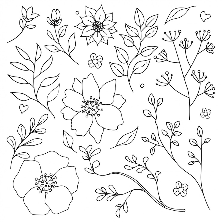 Vektor umriss blumenmuster
