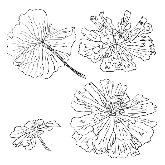 Umriss mohnblumen-set