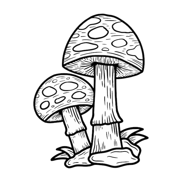 Umriss pilz abbildung