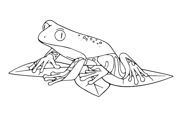 Umriss Prächtiger Baumfrosch Regenwald Baumfrosch Kleiner gemusterter Kröte sitzt auf einem Blatt Lustiger Frosch mit niedlicher Schnauze Kontur Amphibientier Lineart isolierte Vektorillustration auf weißem Hintergrund