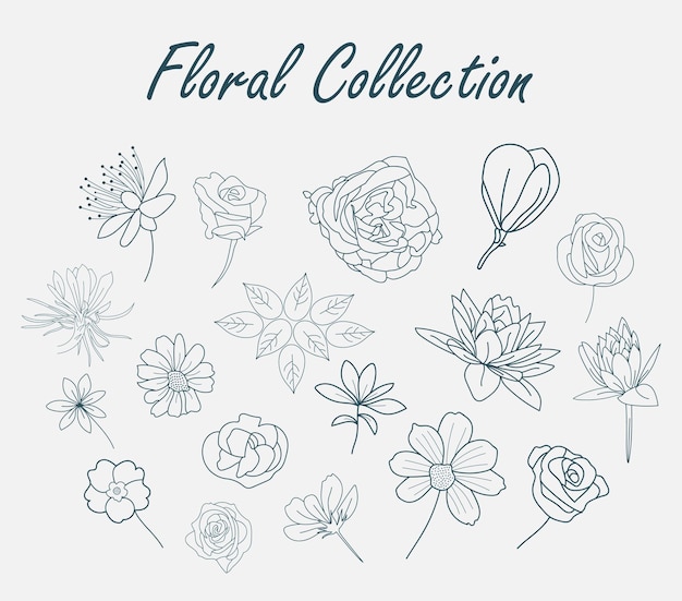 Umrisszeichnung Vektoren Blume Symbol Hintergrund Floral Rose Logomuster Fotos Blumenstrauß Cliparts