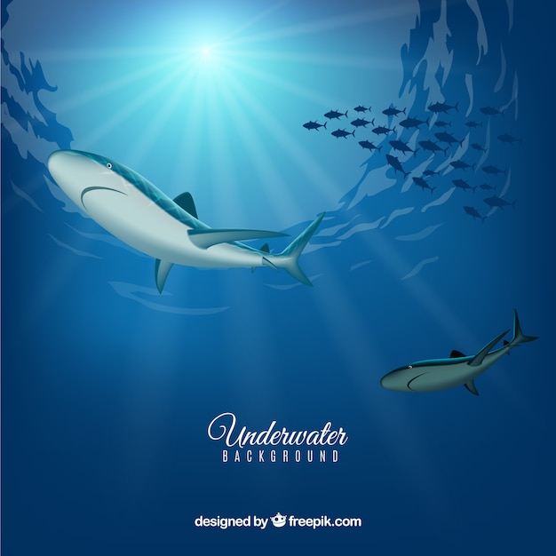 Unterwasserhintergrund mit haifischen in der realistischen art