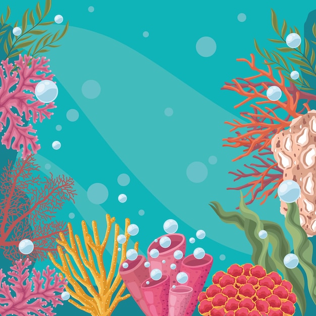 Unterwasserszene mit Algen