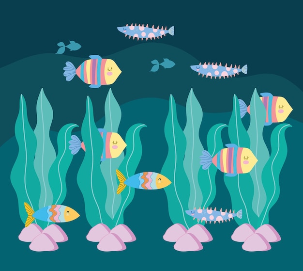 Unterwasserwelt fischt algensteine