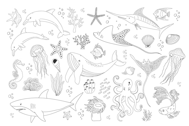 Unterwasserwelt im linienstil, fische, haie, quallen, tintenfische, delfine, muscheln, algen und korallen
