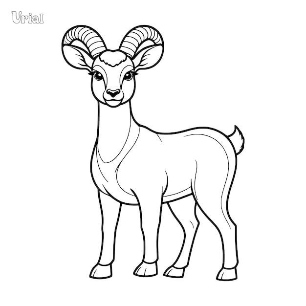 Urial handgezeichnetes malblatt und umrisse-vektor-design