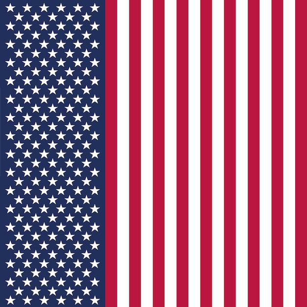 Ursprüngliche und einfache flagge der vereinigten staaten von amerika isolierter vektor anteil richtig usa