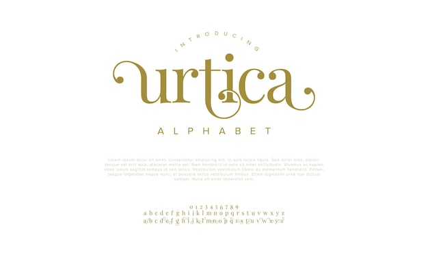 Urtica Swash Luxus elegantes Alphabet Buchstaben Schriftart Vintage Hochzeits Typografie klassische Serif