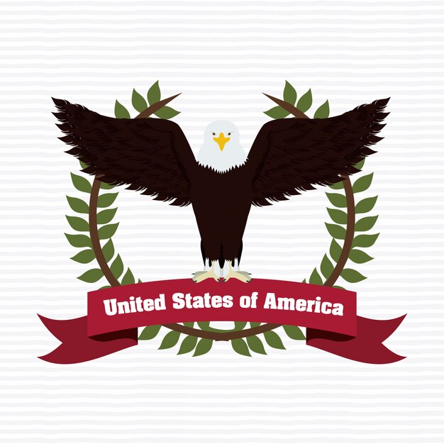 Usa design