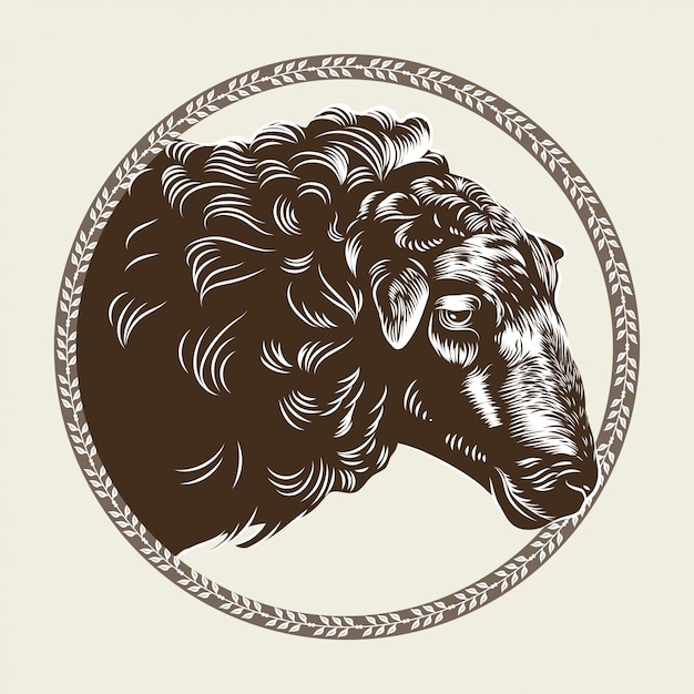 Vector Bild eines Kopfes eines Schafes im Stil des Stiches.