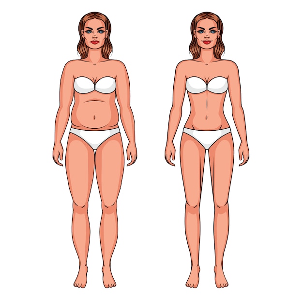 Vector Farbillustration eines überladenen Mädchens und des dünnen Mädchens. Mädchen in der Unterwäsche lokalisiert vom Hintergrund