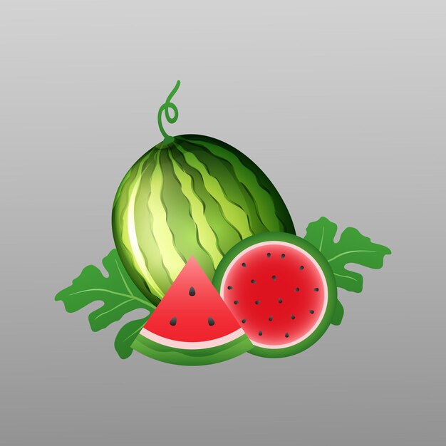 Vector reife Wassermelone und saftiges Stück auf einem weißen Hintergrund lokalisiert